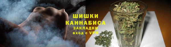 гашик Балахна
