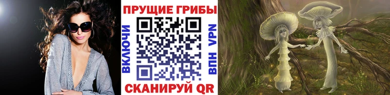 Галлюциногенные грибы Psilocybe  наркошоп  Новое Девяткино 